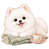 니니 在茶杯和柔軟毯子旁陪你休息