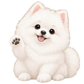 白色博美 니니 舉起小爪為你加油